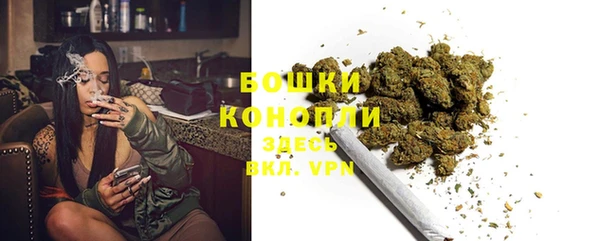 соль ск Новодвинск