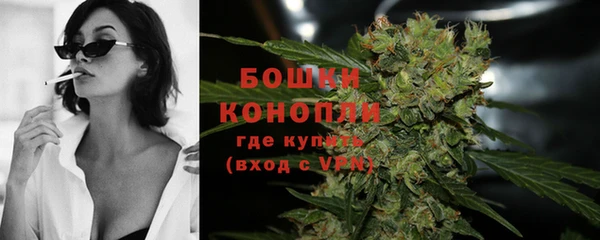 соль ск Новодвинск