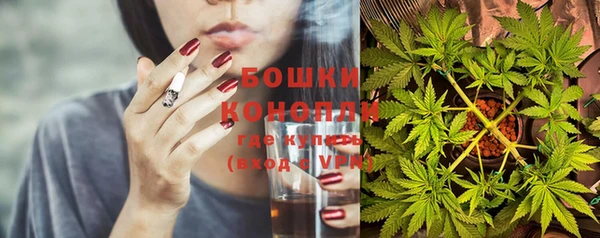MESCALINE Новозыбков